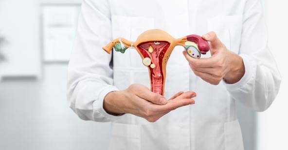 Biocenoza pochwy – dlaczego tak niewiele o niej wiemy