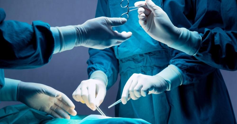 Stan polskiej transplantologii – co zmieniło się od czasów prof. Religi?