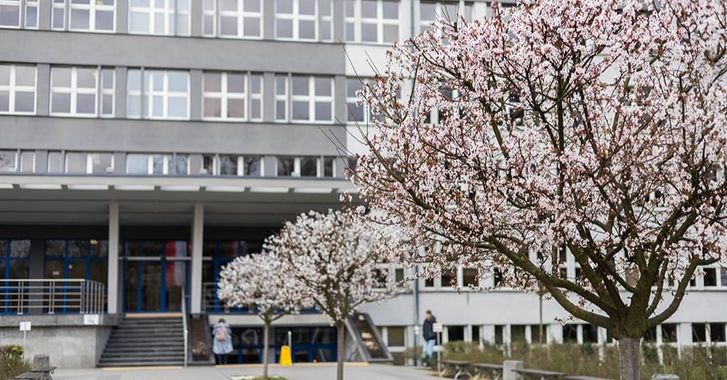 Tworzą się kolejne kierunki lekarskie