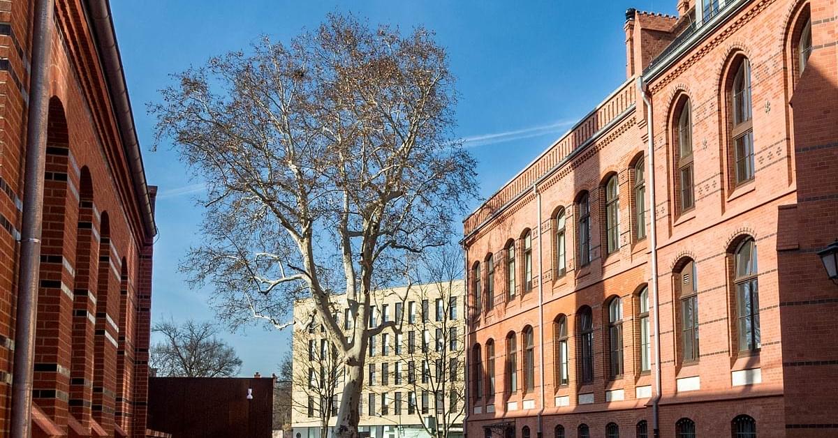 Sukces polskiej uczelni medycznej w światowym zestawieniu