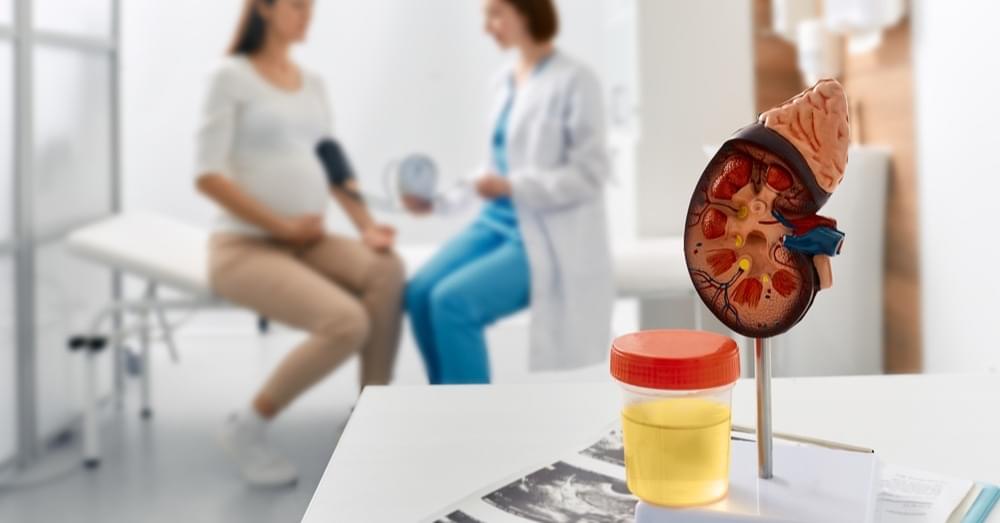 Modyfikacja stylu życia u pacjentów z przewlekłą chorobą nerek
