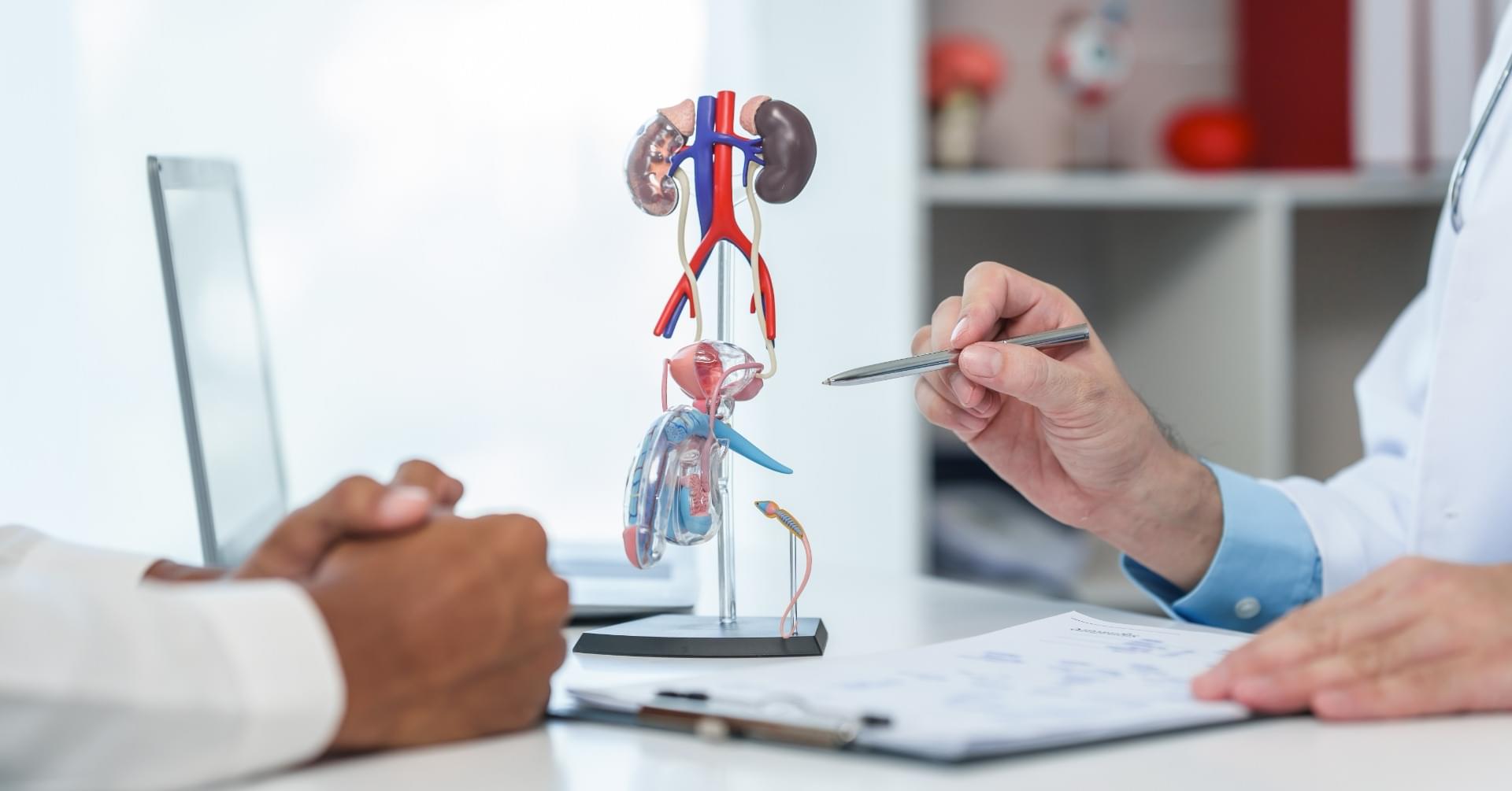 Lekarze POZ odgrywają kluczową rolę w procesie wczesnej diagnostyki urologicznej