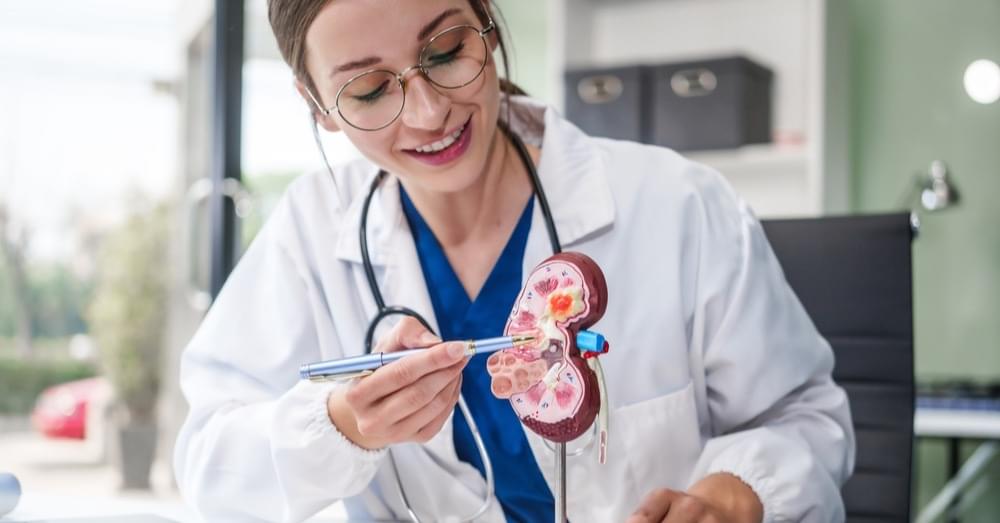 hematologia, reumatologia, nefrologia i nefrologia dziecięca