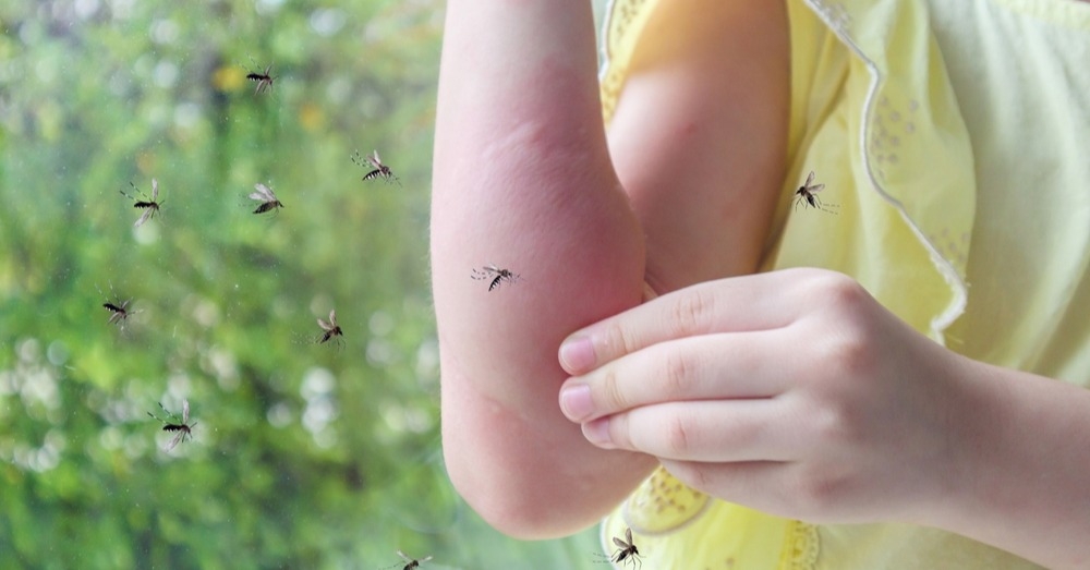 Chikungunya w Europie – czy warto brać ją pod uwagę w diagnostyce różnicowej?