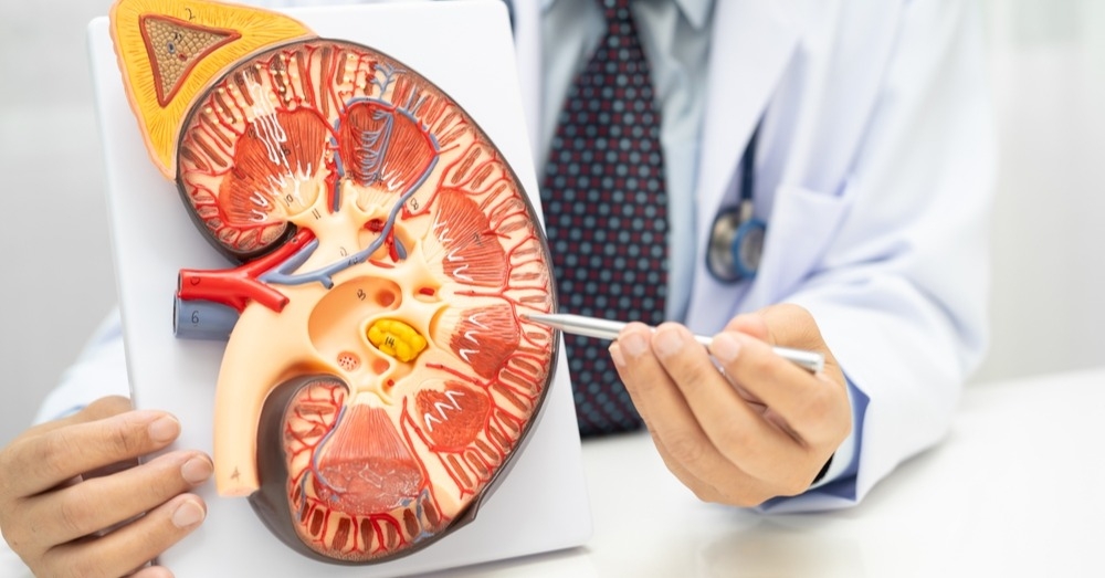 Biopsja nerki – wskazania i możliwe powikłania