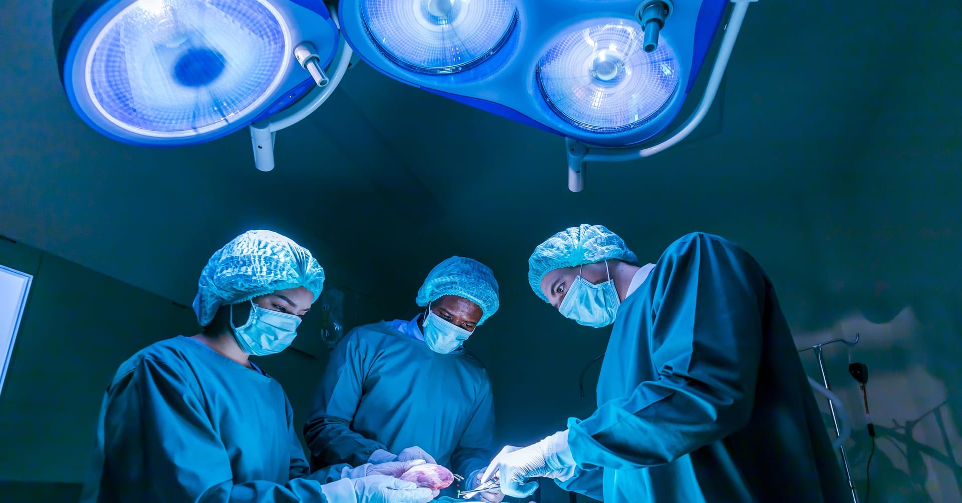 Transplantologia w Polsce: odbudowa po pandemii i wyzwania systemowe