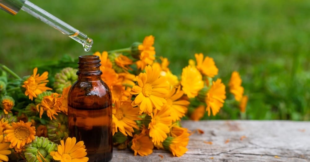 Homeopatia w aptekach a obowiązek informacyjny