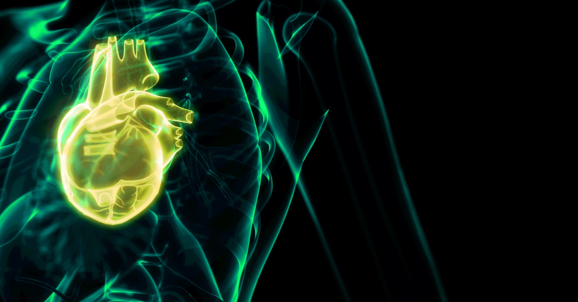 PTK: potrzebne jasne zasady opisywania badań obrazowych serca