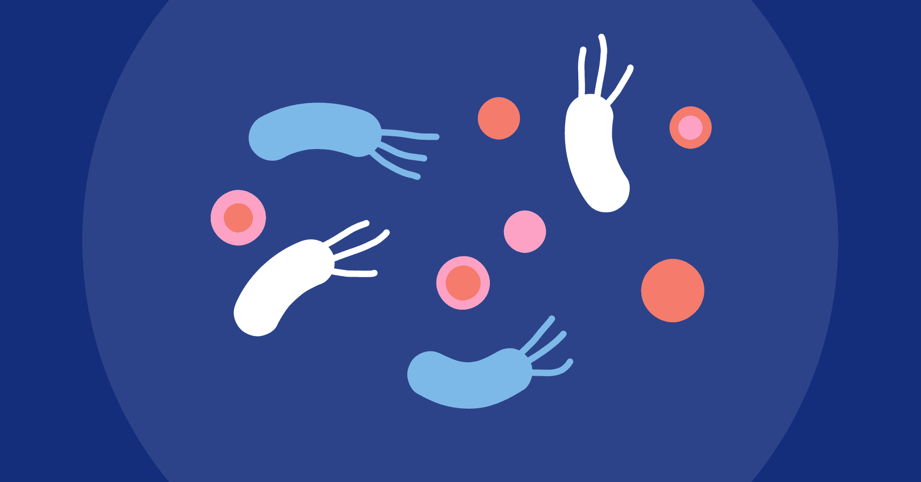 Diagnozuj i lecz: Zakażenie H. pylori u pacjenta z chorobą wrzodową żołądka