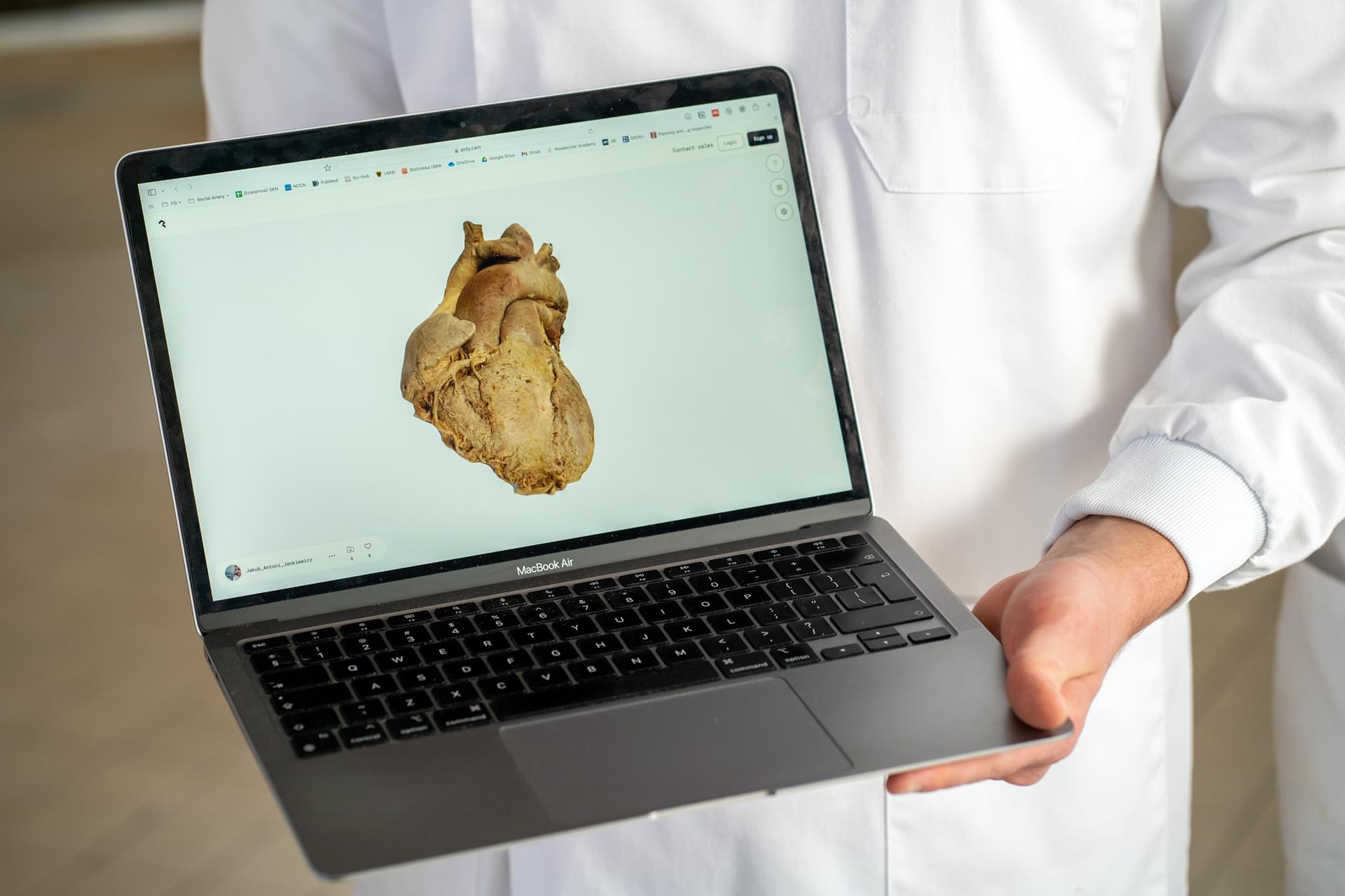 Wirtualny model 3D serca