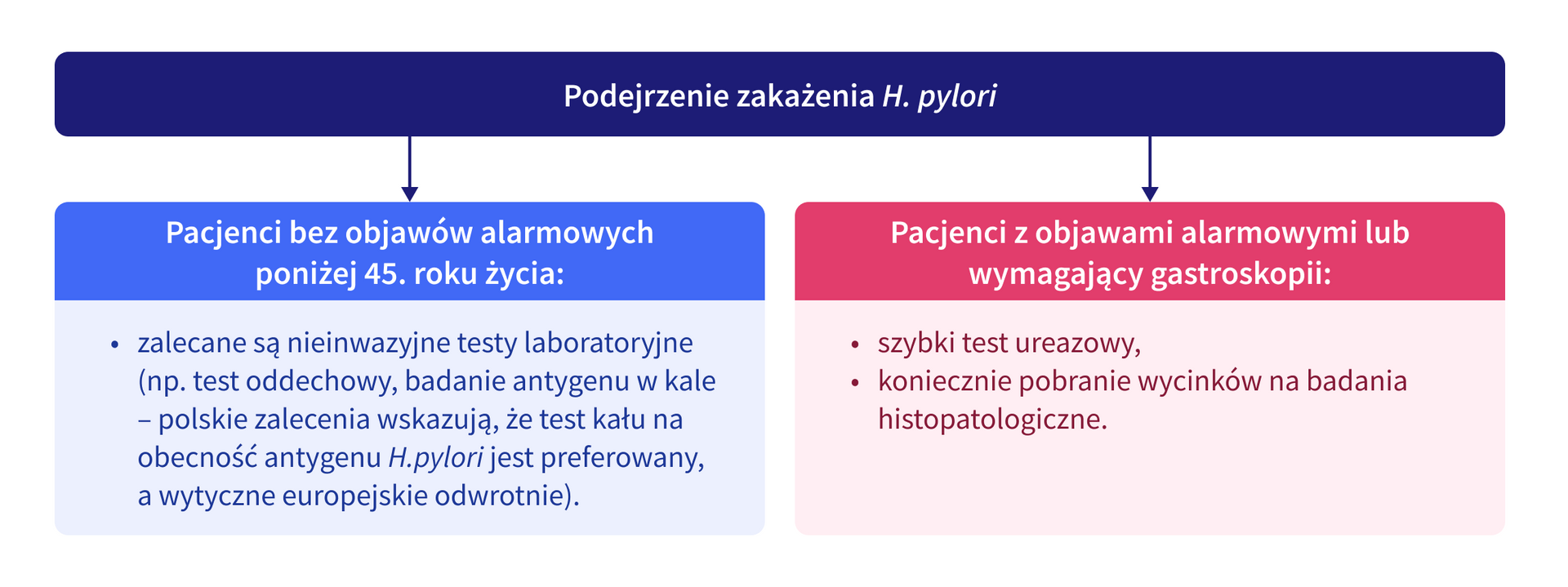 infografika