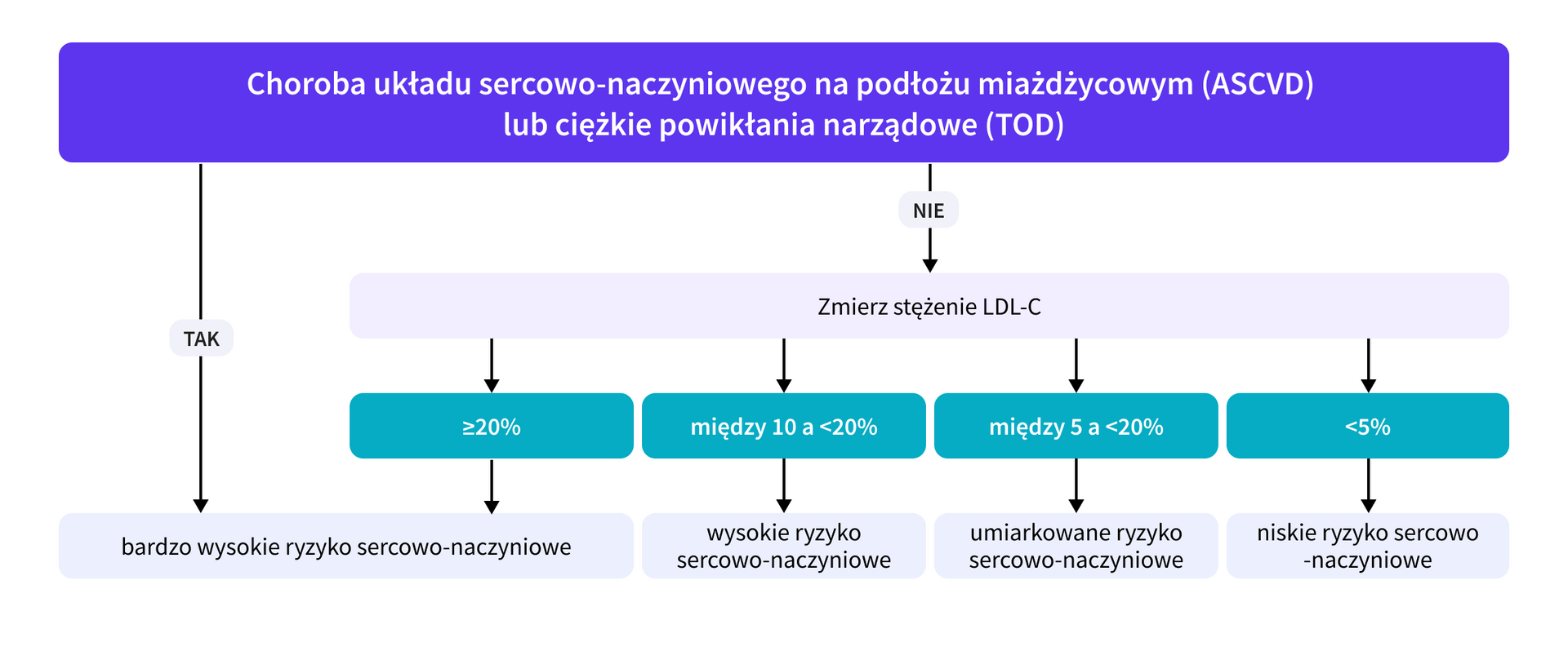 grafika1