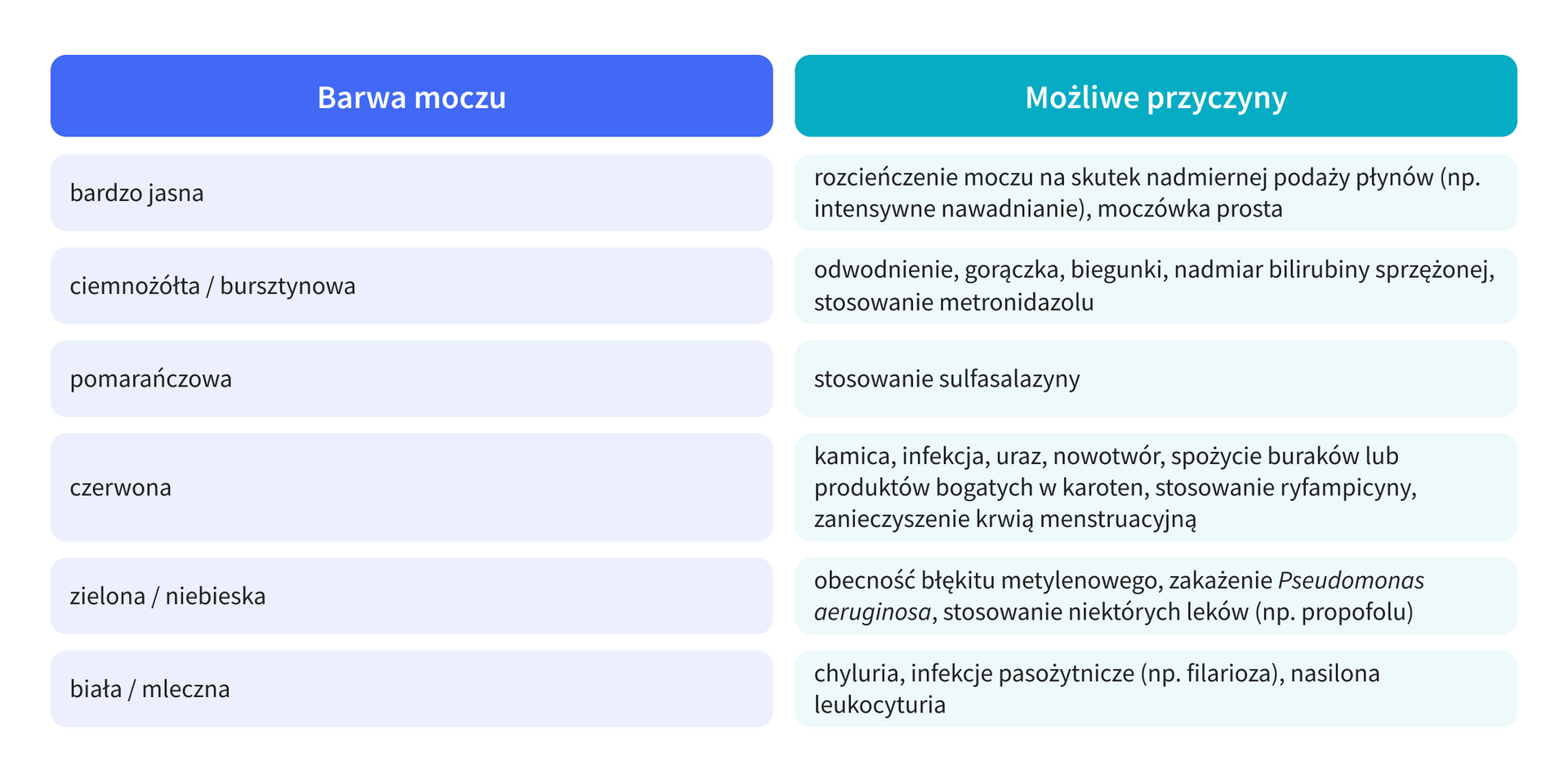 grafika 1