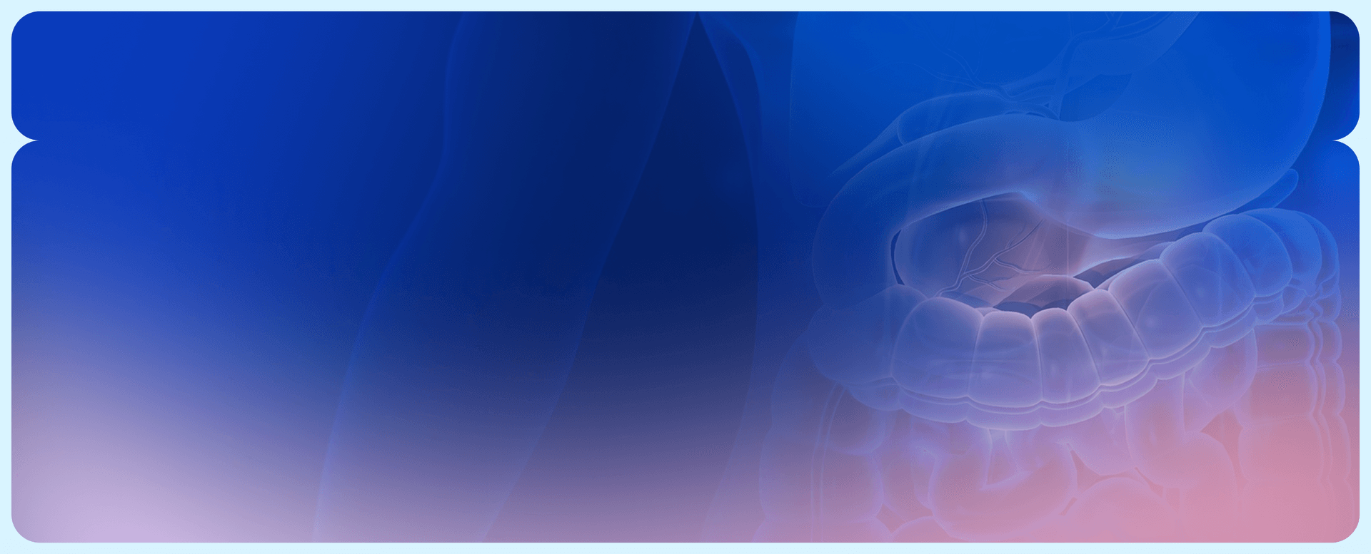 Konferencja "Pierwsze kroki w POZ – Gastroenterologia" (jesień 2026)