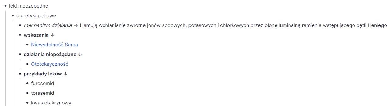 Widok ekranu aplikacji RemNote
