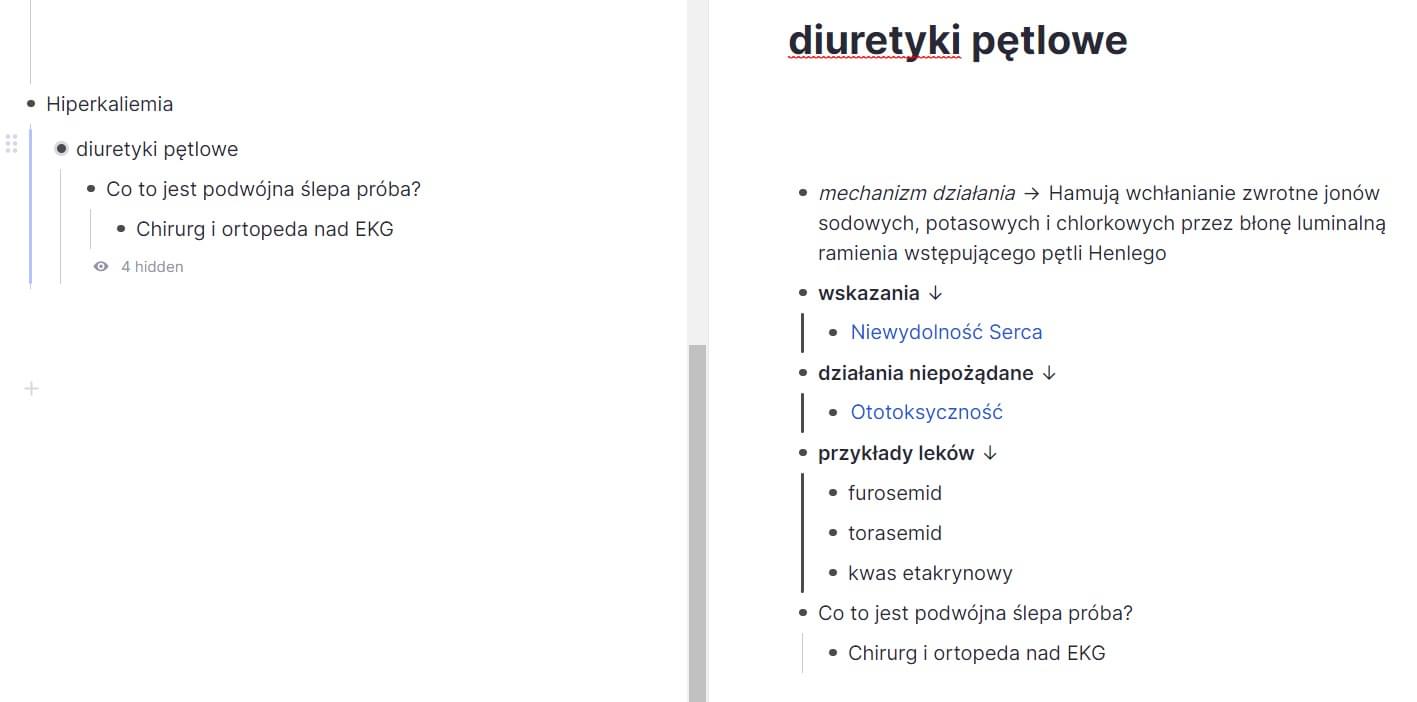 Widok ekranu aplikacji RemNote