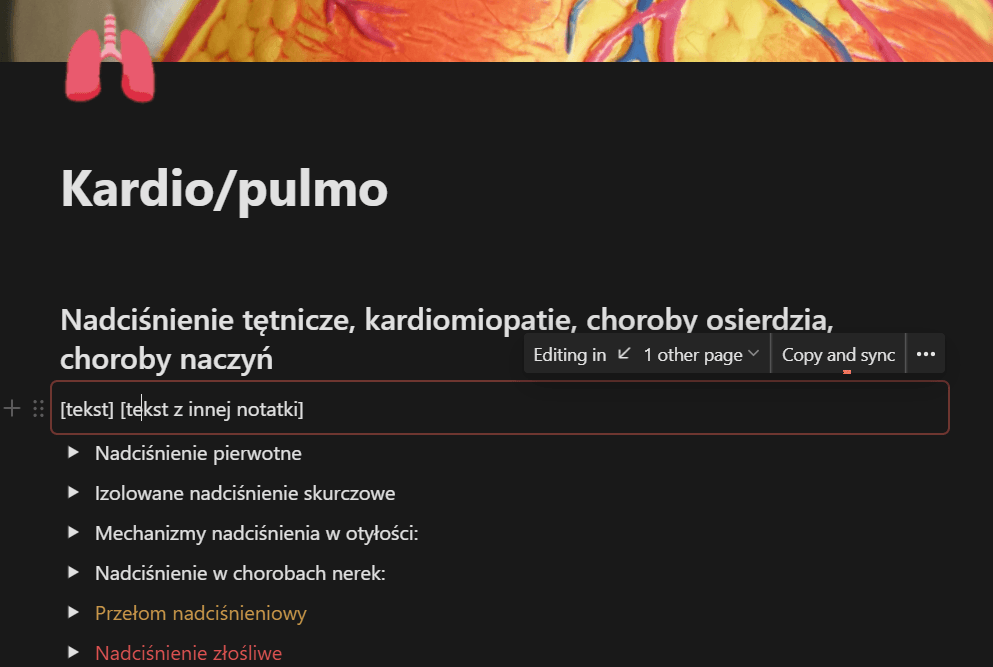 Widok ekranu aplikacji Notion - przykładowe notatki