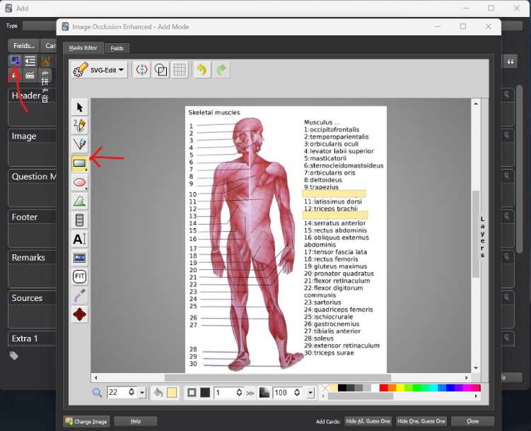 Anki - Image occlusion