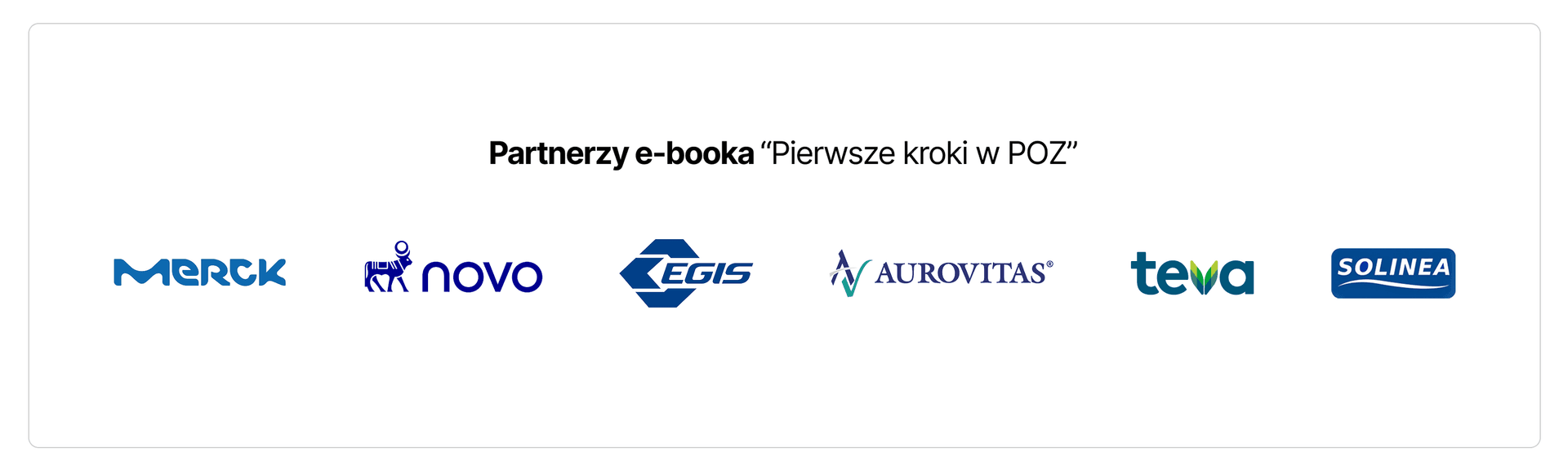 Partnerzy e-booka