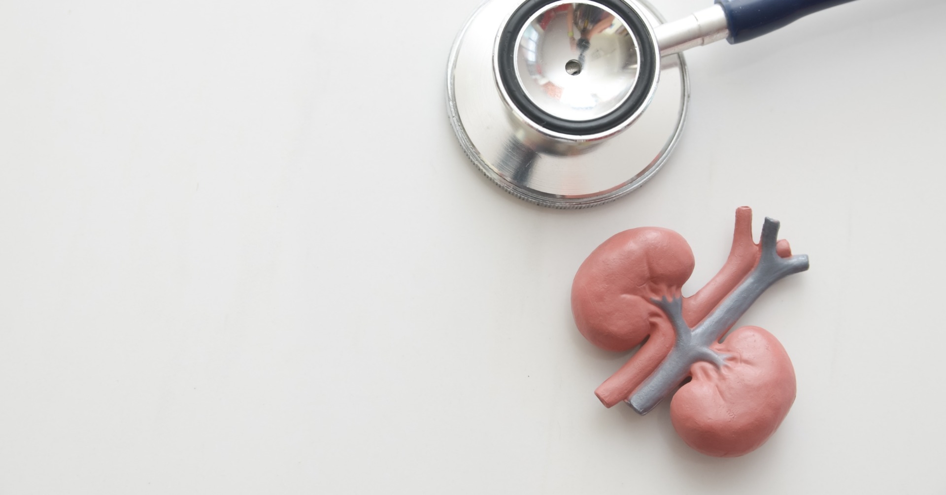 XIV Kongres "Top Nephrological Trends"