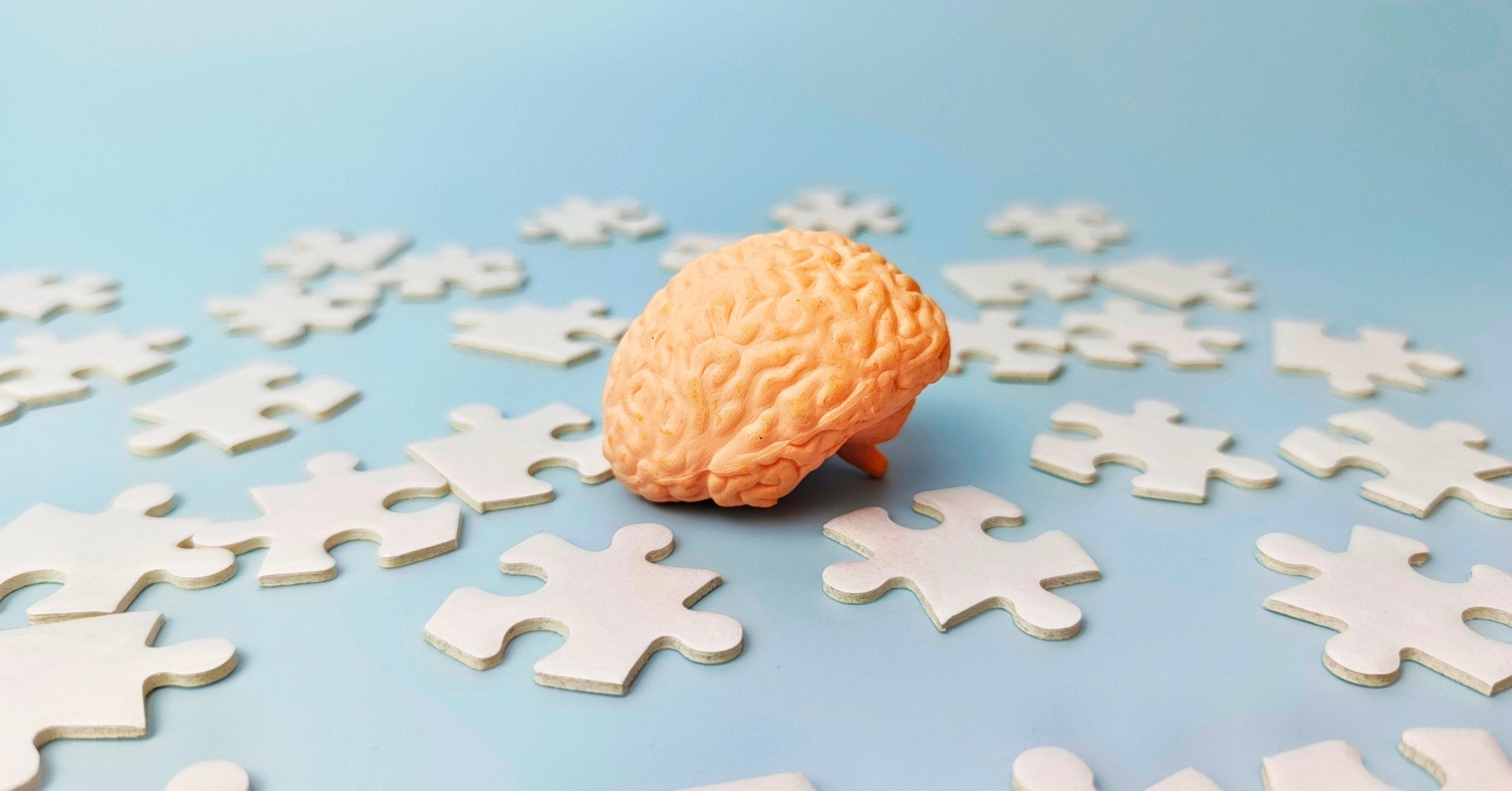 Konferencja Naukowo-Szkoleniowa Bieszczadzkie Dni Neurologiczne