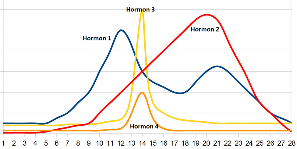 infographic