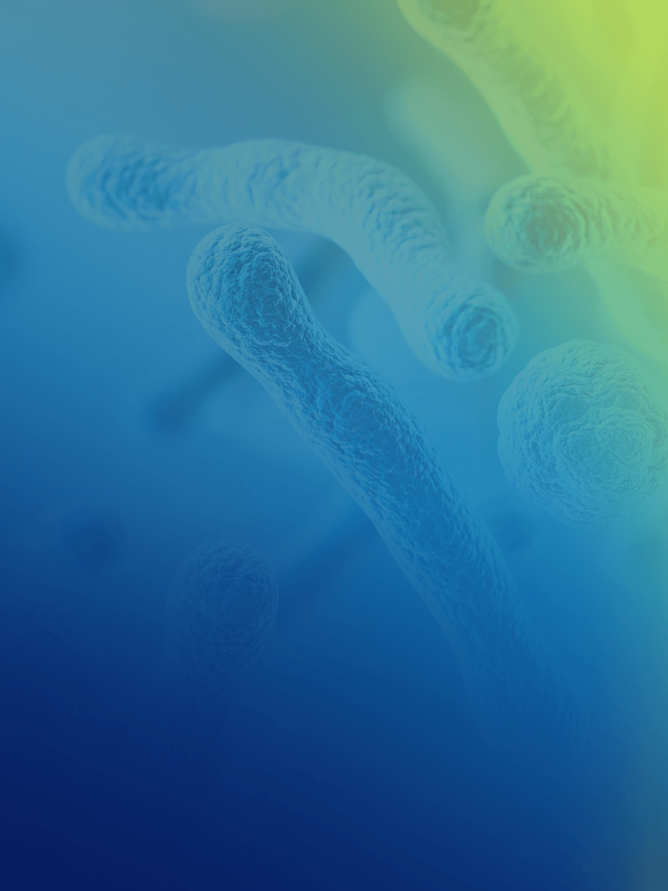 Pierwsze Kroki w POZ – infekcje, szczepienia, antybiotykoterapia (jesień 2026)