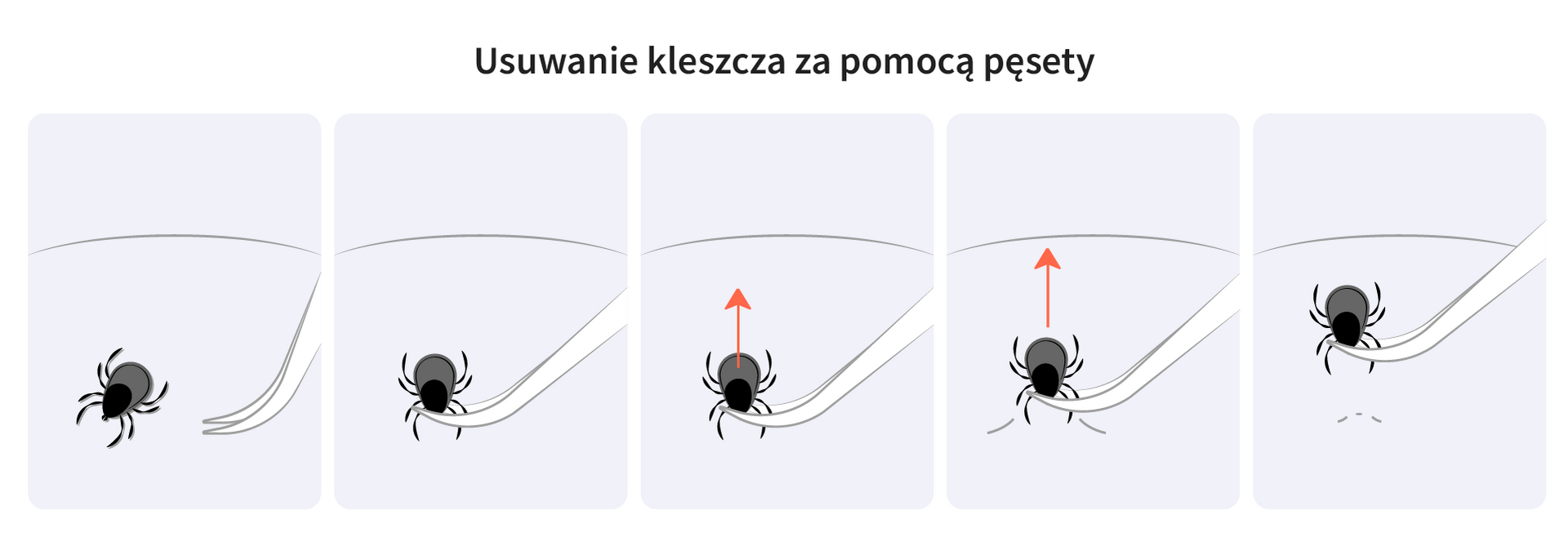 grafika 1