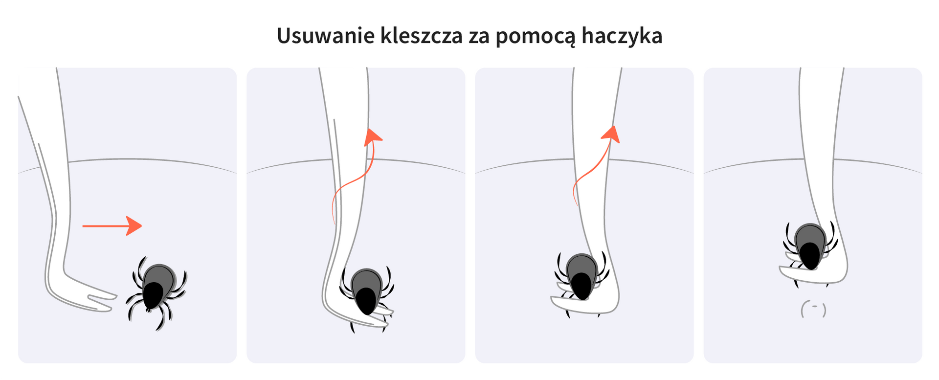 grafika 2