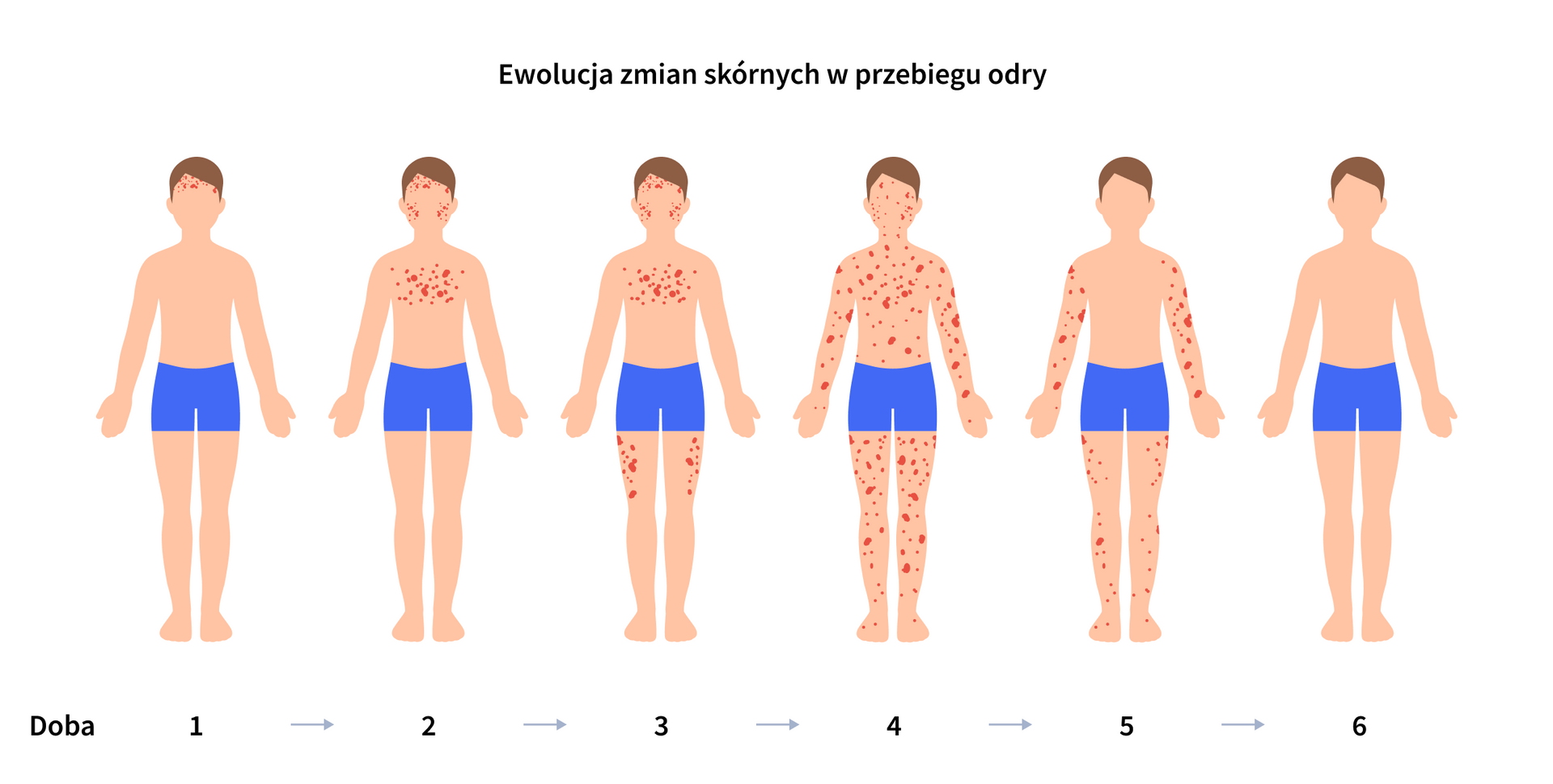 infografika 1