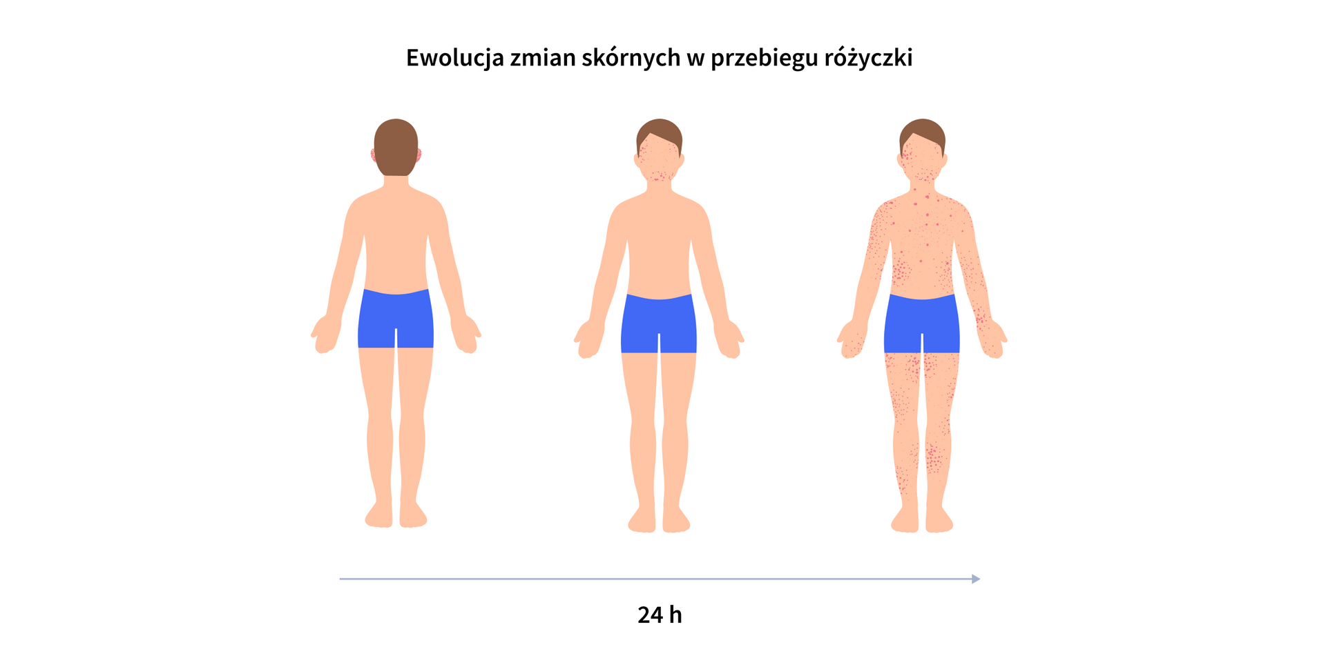infografika 2&nbsp;