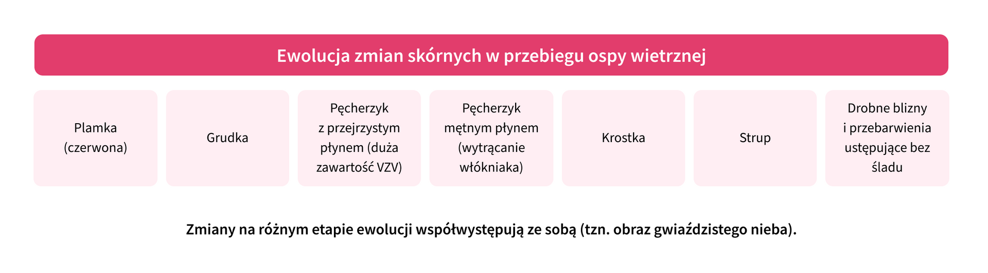 ewolucja zmian skórnych w ospie wietrznej