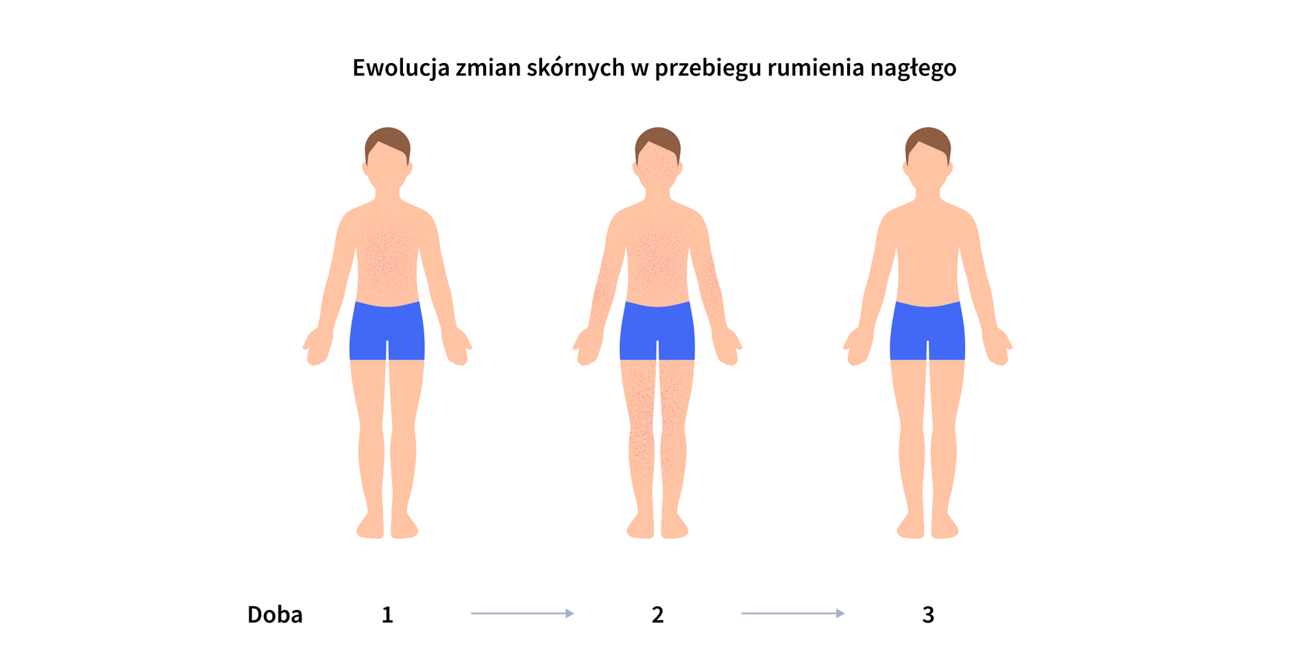 infografika 6