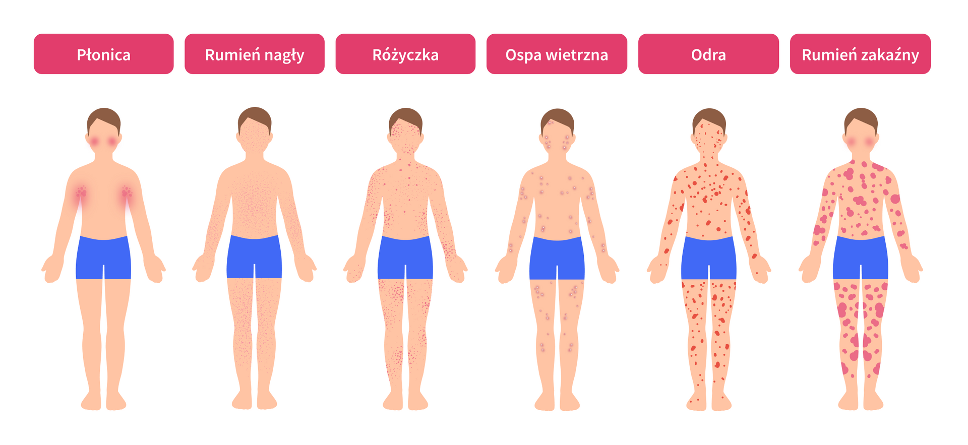 infografika