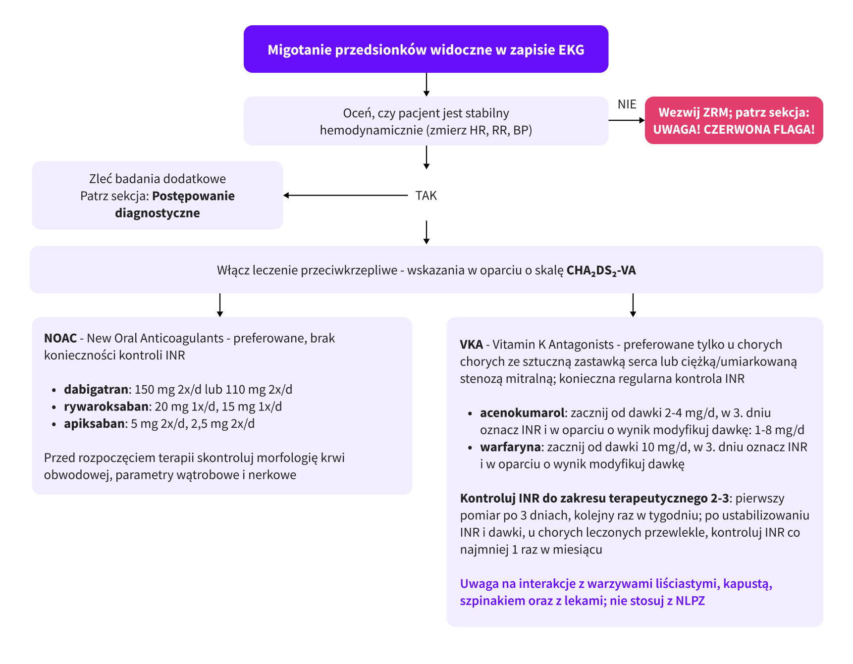 infografika