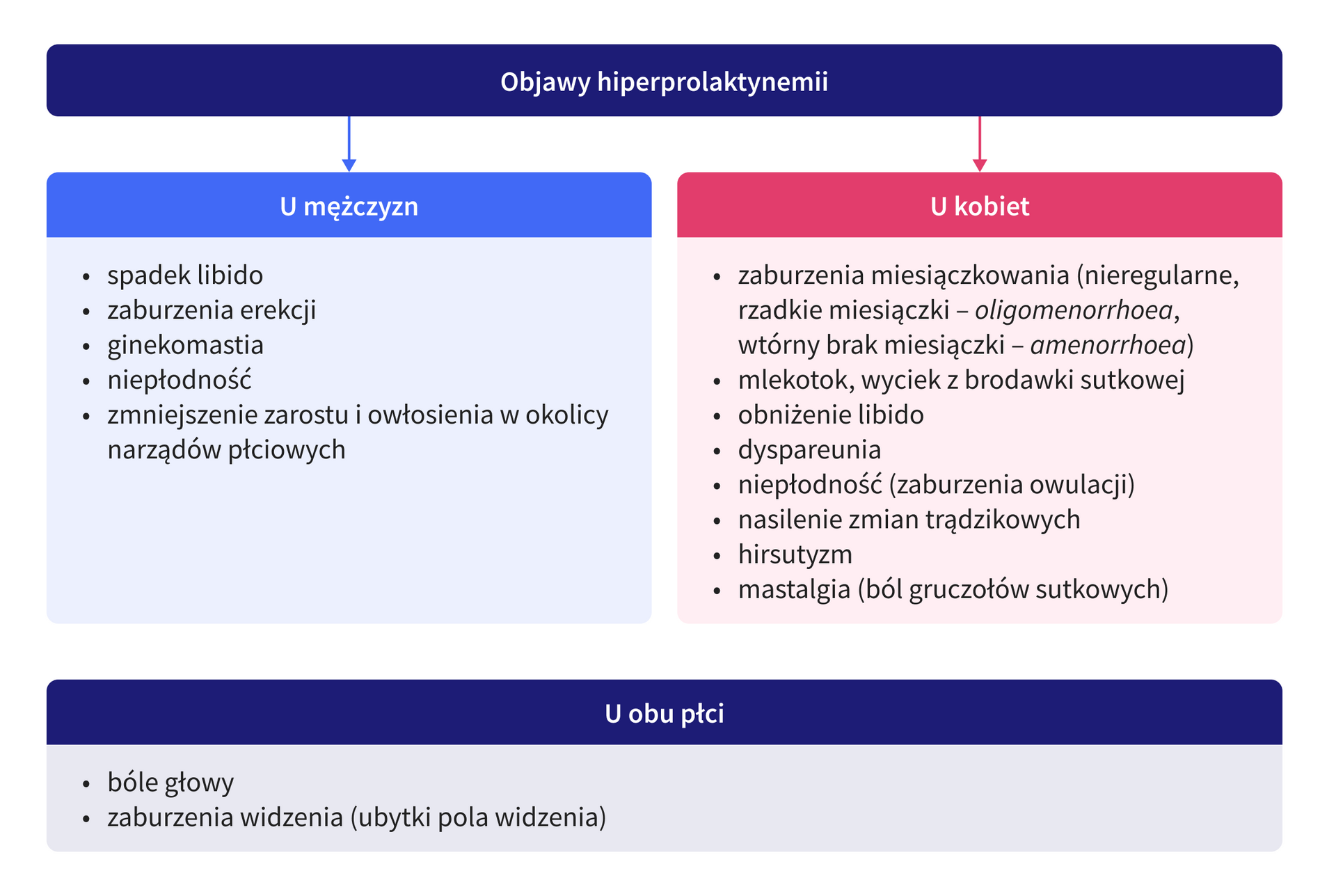 infografika 2 