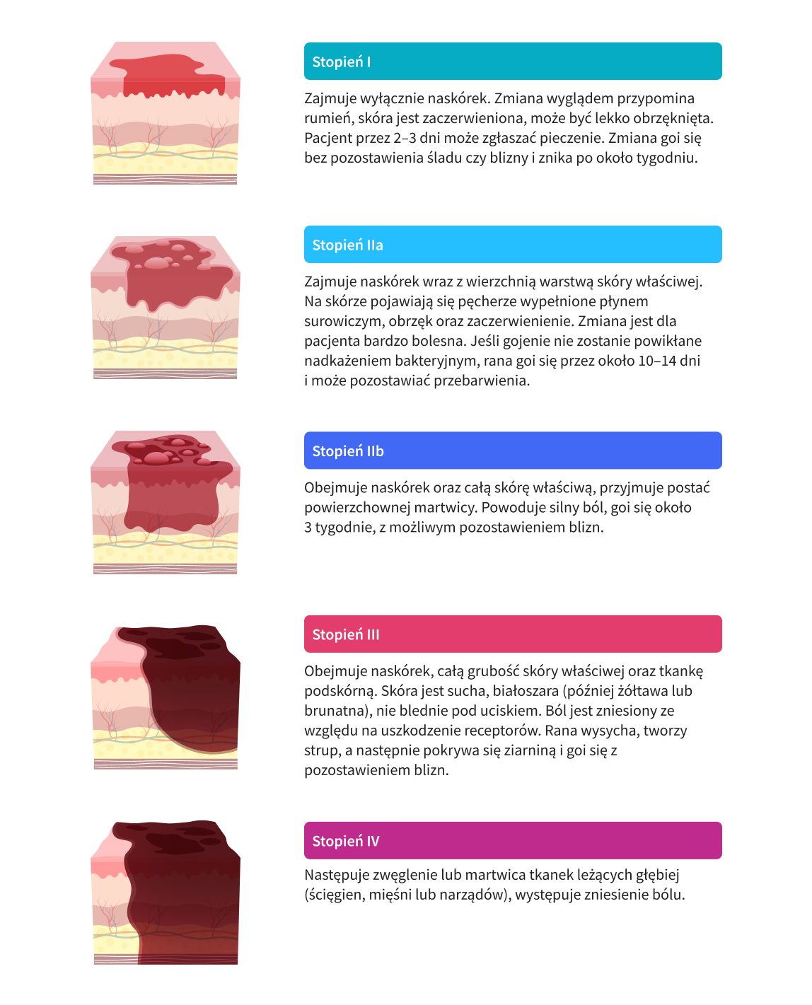 infografika 1&nbsp;