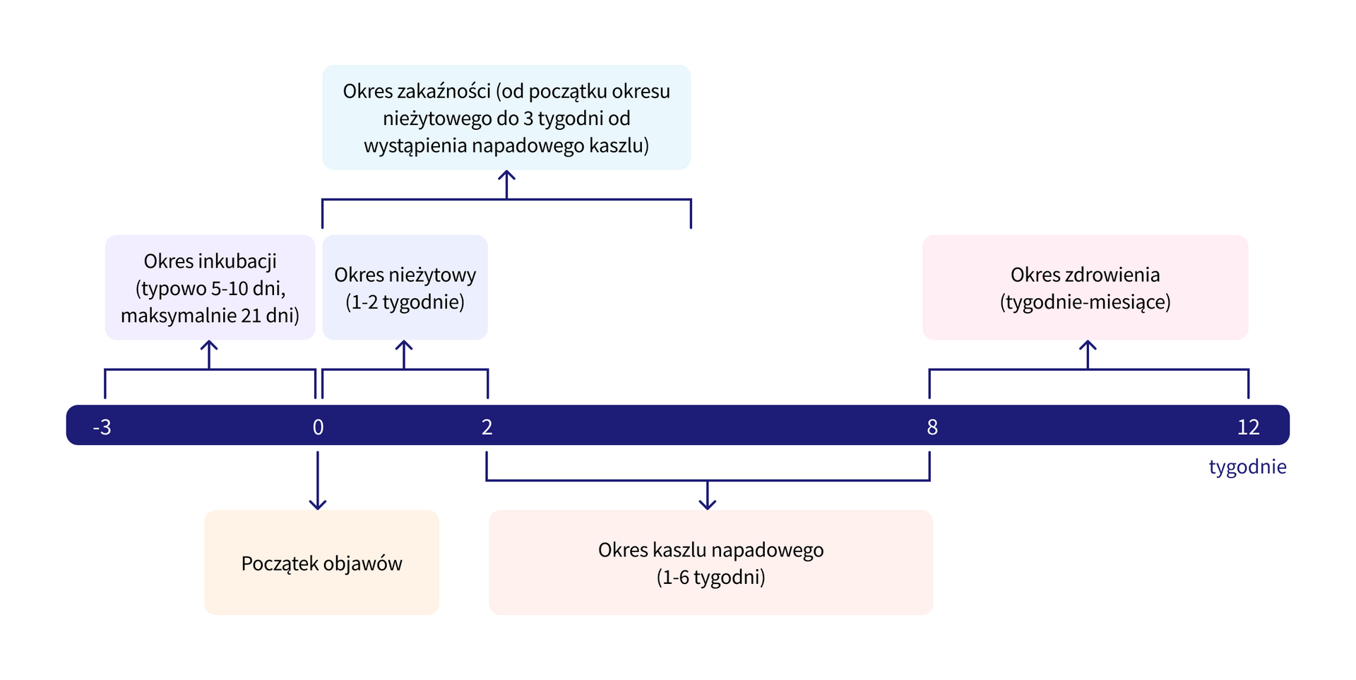 infografika 1&nbsp;
