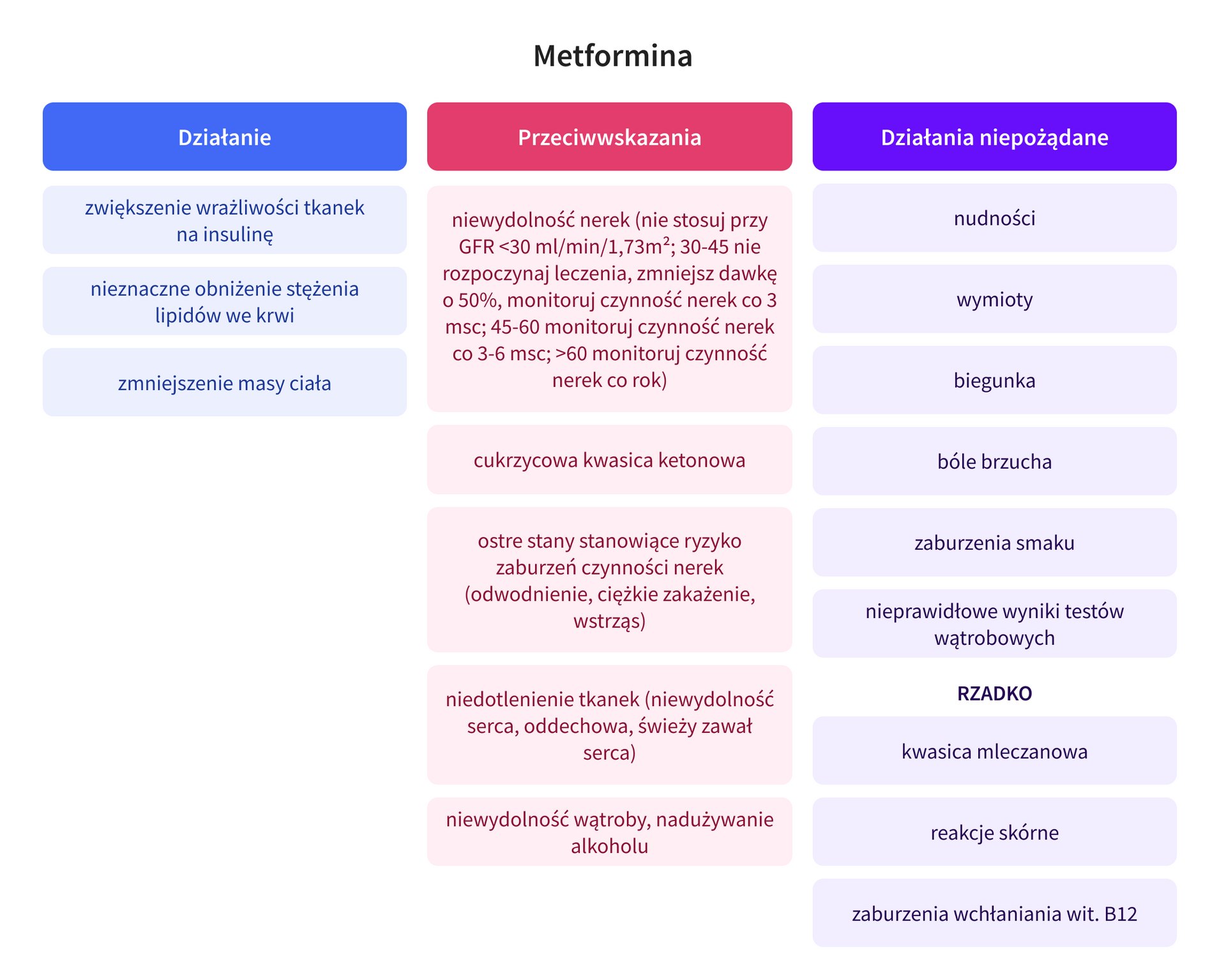 infografika 5