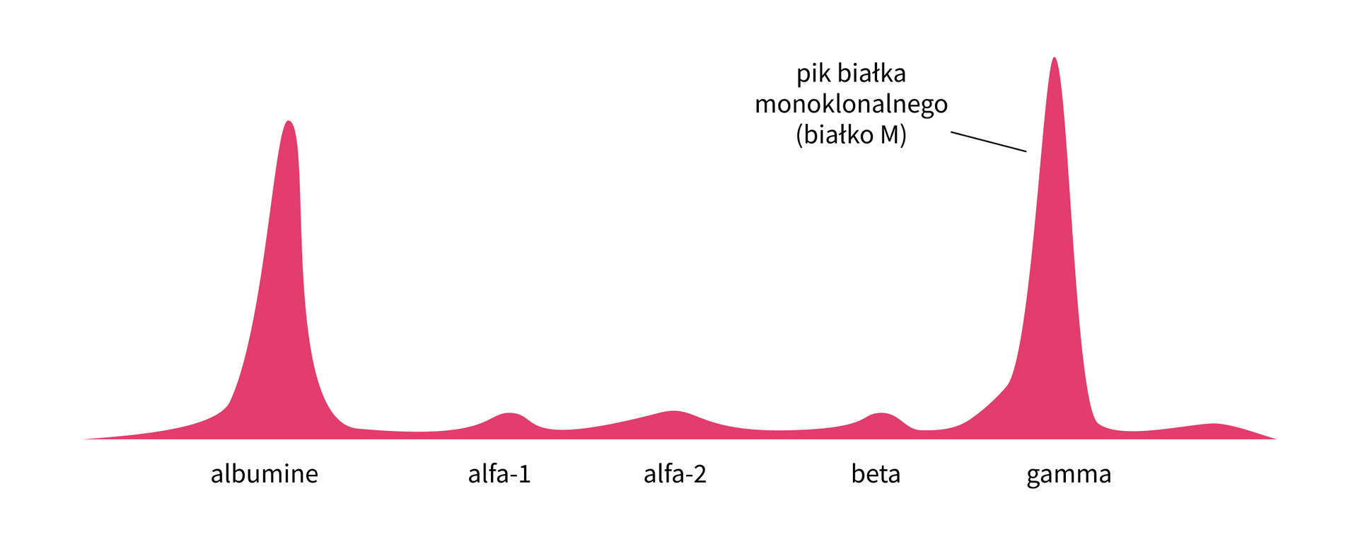 infografika 2