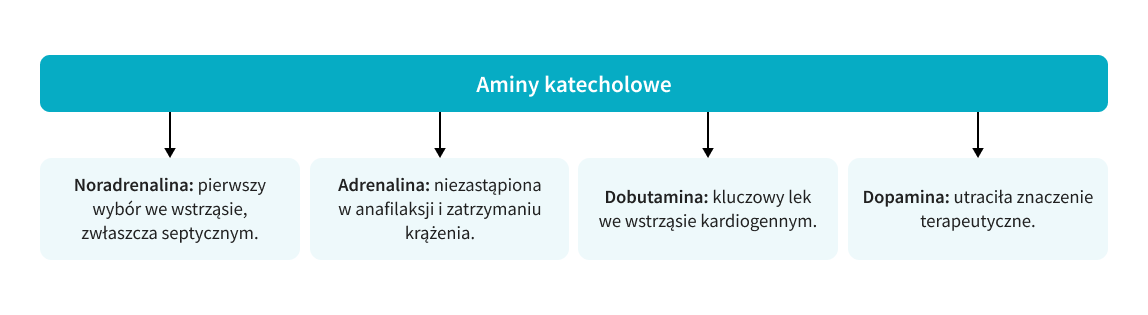grafika 1