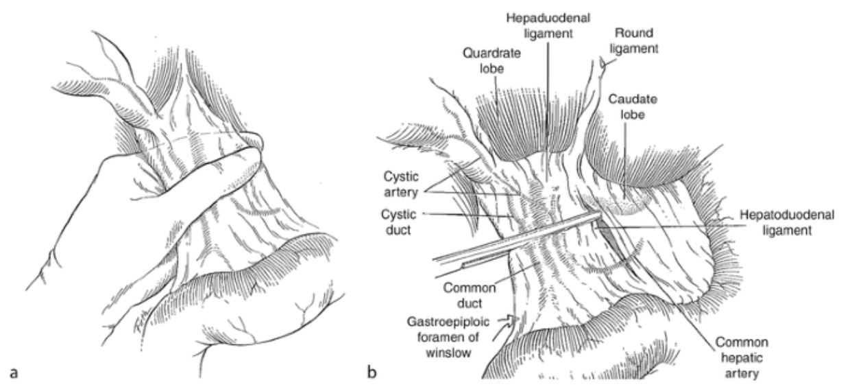 <em>źródło zdjęcia: </em><a style="border-color: hsl(var(--border)); border-image-source: none; --tw-border-spacing-x: 0; --tw-border-spacing-y: 0; --tw-translate-x: 0; --tw-translate-y: 0; --tw-rotate: 0; --tw-skew-x: 0; --tw-skew-y: 0; --tw-scale-x: 1; --tw-scale-y: 1; --tw-pan-x: ; --tw-pan-y: ; --tw-pinch-zoom: ; --tw-scroll-snap-strictness: proximity; --tw-gradient-from-position: ; --tw-gradient-via-position: ; --tw-gradient-to-position: ; --tw-ordinal: ; --tw-slashed-zero: ; --tw-numeric-figure: ; --tw-numeric-spacing: ; --tw-numeric-fraction: ; --tw-ring-inset: ; --tw-ring-offset-width: 0px; --tw-ring-offset-color: #fff; --tw-ring-color: rgba(59,130,246,0.5); --tw-ring-offset-shadow: 0 0 #0000; --tw-ring-shadow: 0 0 #0000; --tw-shadow: 0 0 #0000; --tw-shadow-colored: 0 0 #0000; --tw-blur: ; --tw-brightness: ; --tw-contrast: ; --tw-grayscale: ; --tw-hue-rotate: ; --tw-invert: ; --tw-saturate: ; --tw-sepia: ; --tw-drop-shadow: ; --tw-backdrop-blur: ; --tw-backdrop-brightness: ; --tw-backdrop-contrast: ; --tw-backdrop-grayscale: ; --tw-backdrop-hue-rotate: ; --tw-backdrop-invert: ; --tw-backdrop-opacity: ; --tw-backdrop-saturate: ; --tw-backdrop-sepia: ; outline-color: currentcolor; outline-style: none; text-decoration-style: solid; text-decoration-color: currentcolor;" href="http://doi.org/10.1007/978-3-642-00418-6_505"><span style="border-color: hsl(var(--border)); border-image-source: none; --tw-border-spacing-x: 0; --tw-border-spacing-y: 0; --tw-translate-x: 0; --tw-translate-y: 0; --tw-rotate: 0; --tw-skew-x: 0; --tw-skew-y: 0; --tw-scale-x: 1; --tw-scale-y: 1; --tw-pan-x: ; --tw-pan-y: ; --tw-pinch-zoom: ; --tw-scroll-snap-strictness: proximity; --tw-gradient-from-position: ; --tw-gradient-via-position: ; --tw-gradient-to-position: ; --tw-ordinal: ; --tw-slashed-zero: ; --tw-numeric-figure: ; --tw-numeric-spacing: ; --tw-numeric-fraction: ; --tw-ring-inset: ; --tw-ring-offset-width: 0px; --tw-ring-offset-color: #fff; --tw-ring-color: rgba(59,130,246,0.5); --tw-ring-offset-shadow: 0 0 #0000; --tw-ring-shadow: 0 0 #0000; --tw-shadow: 0 0 #0000; --tw-shadow-colored: 0 0 #0000; --tw-blur: ; --tw-brightness: ; --tw-contrast: ; --tw-grayscale: ; --tw-hue-rotate: ; --tw-invert: ; --tw-saturate: ; --tw-sepia: ; --tw-drop-shadow: ; --tw-backdrop-blur: ; --tw-backdrop-brightness: ; --tw-backdrop-contrast: ; --tw-backdrop-grayscale: ; --tw-backdrop-hue-rotate: ; --tw-backdrop-invert: ; --tw-backdrop-opacity: ; --tw-backdrop-saturate: ; --tw-backdrop-sepia: ; outline-color: currentcolor; outline-style: none; font-size: 11pt; font-family: Arial, sans-serif; color: rgb(17, 85, 204); font-style: italic; font-variant-ligatures: normal; font-variant-alternates: normal; font-variant-numeric: normal; font-variant-east-asian: normal; font-variant-position: normal; text-decoration-skip-ink: none; vertical-align: baseline; white-space: pre-wrap;"></span><em style="border-color: hsl(var(--border)); border-image-source: none; --tw-border-spacing-x: 0; --tw-border-spacing-y: 0; --tw-translate-x: 0; --tw-translate-y: 0; --tw-rotate: 0; --tw-skew-x: 0; --tw-skew-y: 0; --tw-scale-x: 1; --tw-scale-y: 1; --tw-pan-x: ; --tw-pan-y: ; --tw-pinch-zoom: ; --tw-scroll-snap-strictness: proximity; --tw-gradient-from-position: ; --tw-gradient-via-position: ; --tw-gradient-to-position: ; --tw-ordinal: ; --tw-slashed-zero: ; --tw-numeric-figure: ; --tw-numeric-spacing: ; --tw-numeric-fraction: ; --tw-ring-inset: ; --tw-ring-offset-width: 0px; --tw-ring-offset-color: #fff; --tw-ring-color: rgba(59,130,246,0.5); --tw-ring-offset-shadow: 0 0 #0000; --tw-ring-shadow: 0 0 #0000; --tw-shadow: 0 0 #0000; --tw-shadow-colored: 0 0 #0000; --tw-blur: ; --tw-brightness: ; --tw-contrast: ; --tw-grayscale: ; --tw-hue-rotate: ; --tw-invert: ; --tw-saturate: ; --tw-sepia: ; --tw-drop-shadow: ; --tw-backdrop-blur: ; --tw-backdrop-brightness: ; --tw-backdrop-contrast: ; --tw-backdrop-grayscale: ; --tw-backdrop-hue-rotate: ; --tw-backdrop-invert: ; --tw-backdrop-opacity: ; --tw-backdrop-saturate: ; --tw-backdrop-sepia: ; outline-color: currentcolor; outline-style: none;"></em><em></em><em>doi.org/10.1007/978-3-642-00418-6_505</em></a><em></em>