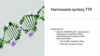 Leki hamujące syntezę transtyretyny