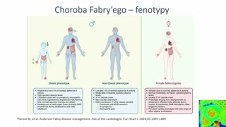 Obraz kliniczny i fenotypy sercowe