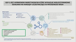 Podsumowanie: włóknienie, screening i nadzór dwukierunkowy