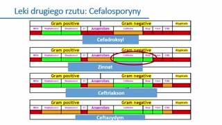 Grupy: penicyliny i aminopenicyliny