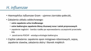 Zapalenie ucha środkowego: pneumokoki i Haemophilus influenzae