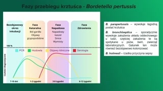 Diagnostyka krztuśca: PCR, hodowla i serologia