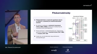 Fitokannabinoidy: formy, dekarboksylacja oraz THC i CBD