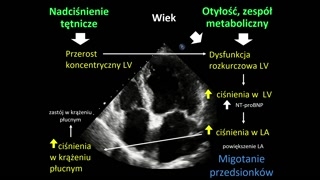 Patofizjologia i fenotypy HFpEF